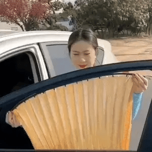 DW™ Magnetic Curtain For Cars