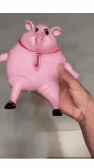 DW™ Pink Piggy Squeeze Toy