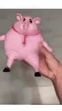 DW™ Pink Piggy Squeeze Toy