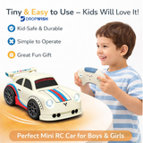 DW™ Mini RC Drift Car|Racing Car For Kids