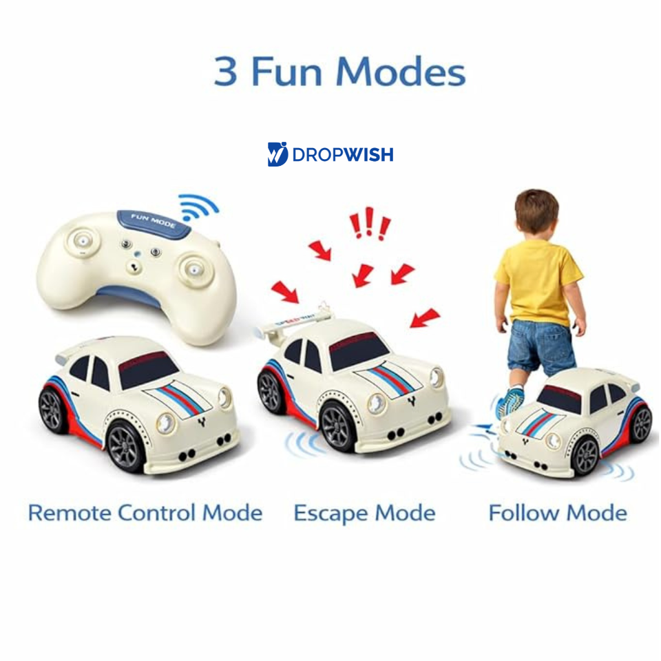 DW™ Mini RC Drift Car|Racing Car For Kids
