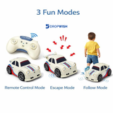 DW™ Mini RC Drift Car|Racing Car For Kids