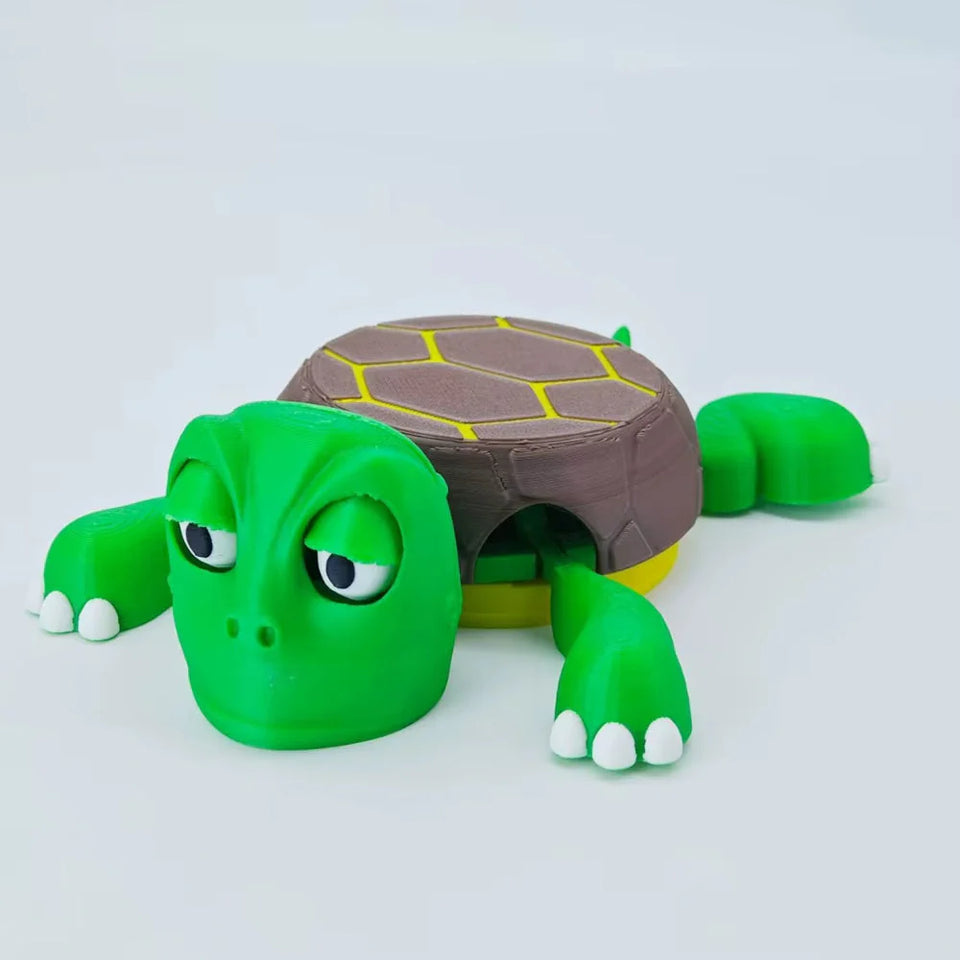 Panicked Turtle Coaster
