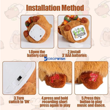 DW™Musical Talking Capybara Plush Toy Musical Talking Capybara Plush Toy