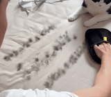 DW™ Pet Hair Removing Glove