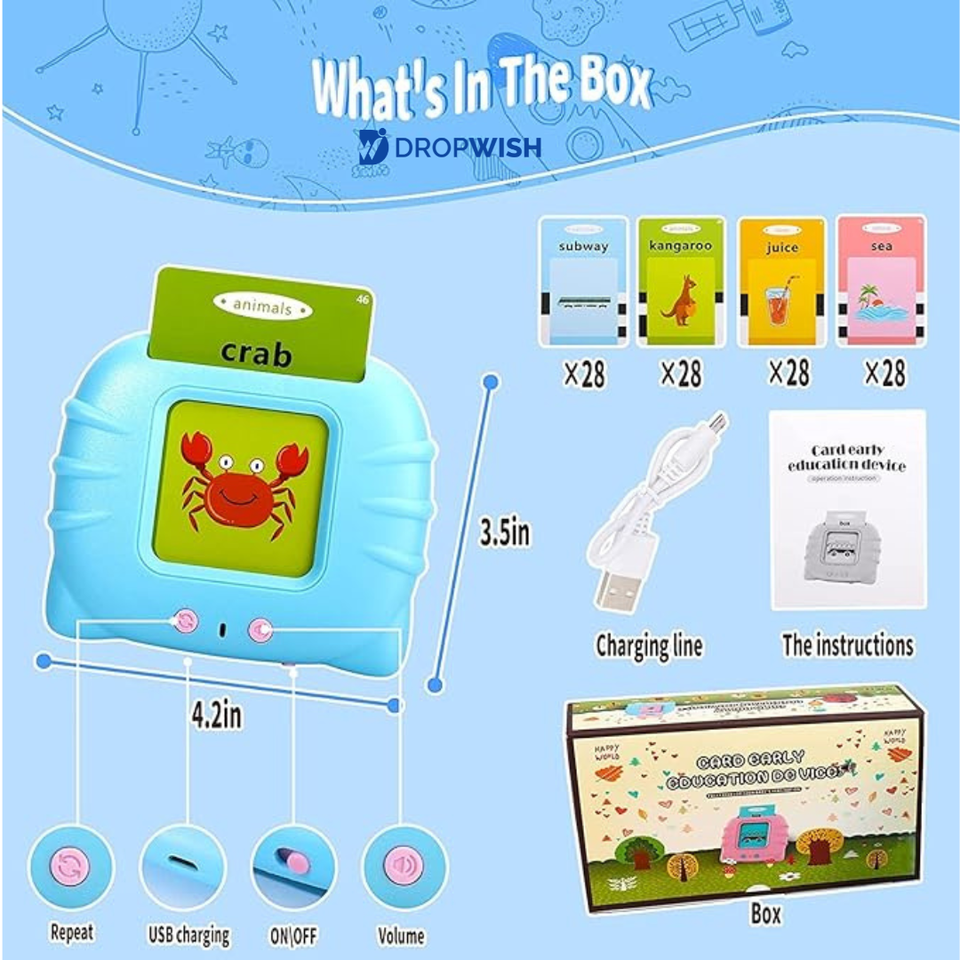DW™ Talking Flash Cards Toy
