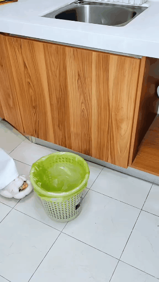 DW™ Wall Mounted Acrylic Dustbin