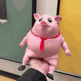 DW™ Pink Piggy Squeeze Toy