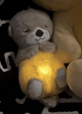 DW™ Breathing Teddy Bear| Musical Sleeping Toy