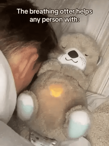 DW™ Breathing Teddy Bear| Musical Sleeping Toy