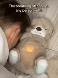 DW™ Breathing Teddy Bear| Musical Sleeping Toy