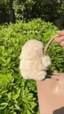DW™ AI Shy Merumi Toy
