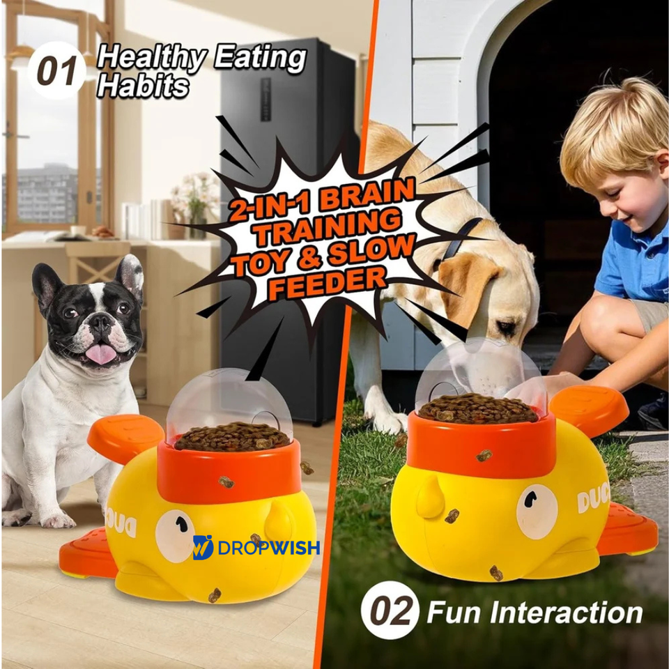 DW™Pet Feeder Toy