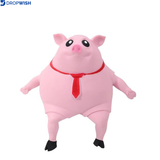 DW™ Pink Piggy Squeeze Toy