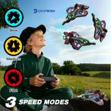 DW™RC Fighter Plane